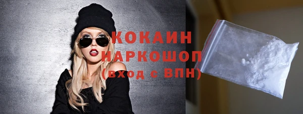шишки Верхний Тагил