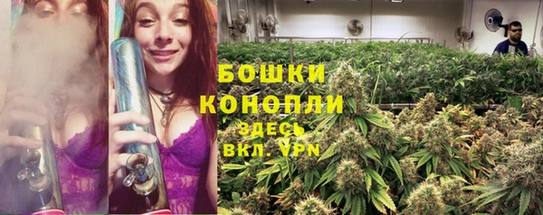 шишки Верхний Тагил