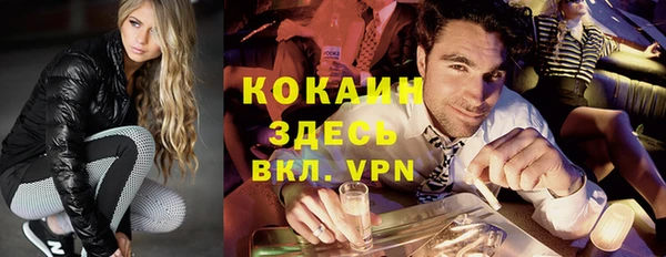 шишки Верхний Тагил
