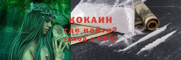 шишки Верхний Тагил