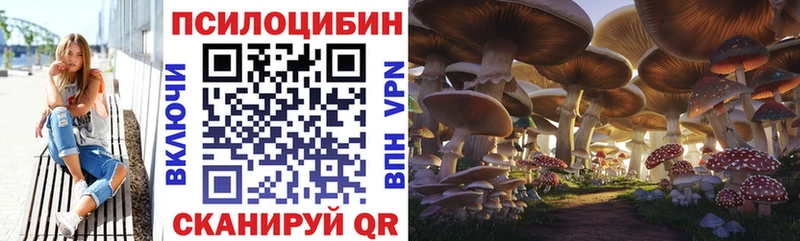 Псилоцибиновые грибы прущие грибы  Купить где  Нововоронеж 